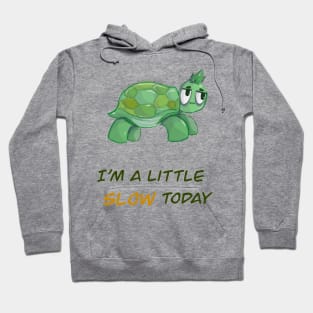 Slow Day - Cute Turtle Hoodie